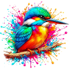 Kingfisher