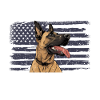 BELGISK MALINOIS STÅR OPP NÅR SEGEREN RINGER