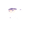 Bullying Ninja