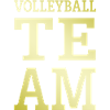 Volleyball Team