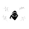 Ninja Fighter