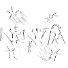 Ninja Expert