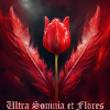 Bleeding feathers