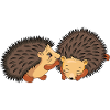 Two cute hedgehogs