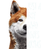 Akita