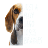 Beagle