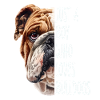 Bulldog