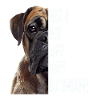 Bullmastiff