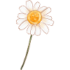 Marguerite - Kollektion