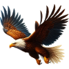 Eagle