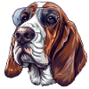 Basset Hound, Dog, Sunglasses, Summer