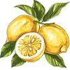 Zitronen Lemon