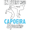 In every move capoeira speaks