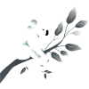 Koala on a branch