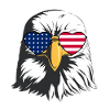 Patriotic Eagle Heart Sunglasses
