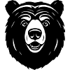 Lovely Curious Comic Bear