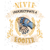 Roofer Roof Professional Funny Gift