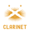 Clarinet Wind Instrument Clarinet player