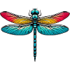 Libellule