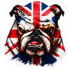 Bouledogue anglais Chien