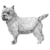 Autocollant Cairn terrier
