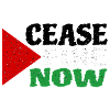 Cease Fire Now