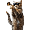 American Shorthair Trumpet