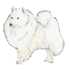 Japanese Spitz Dog Sticker