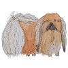 Pekingese sticker