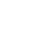 Fox Tribal Moon Phases