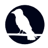 Crow on a branch