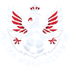 Polish football