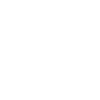Occupation Carpenter