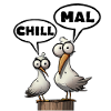 The Bäädden Seagulls - Chill mal