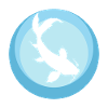 Koi Fish Fish Head