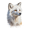 Majestueux renard arctique aquarelle