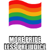 More Pride Less Prejudice