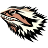 Bearded dragon