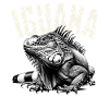 Iguana