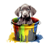 Weimaraner Hund Hunderasse