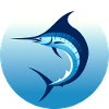 Elegant Marlin