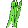 Beans Beans Vegetables
