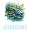 Alligatoren Alligator