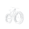 Fat Bike