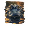 Alligatoren Alligator