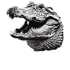 Alligatoren Alligator