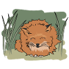 Illustration design "Fox Kisses"