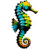 Hippocampe