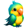 Parrot