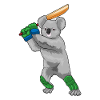 Battes de cricket Koala